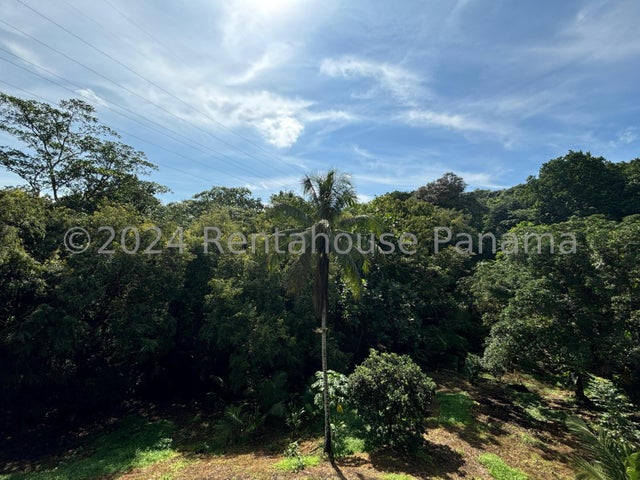 Exclusive Land for Rent